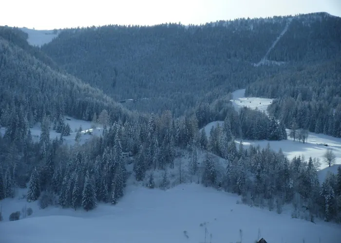 Haus Heimo